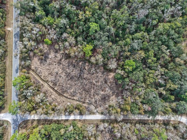 Lot 1 CHIPSTONE STREET, Webster, FL 33597