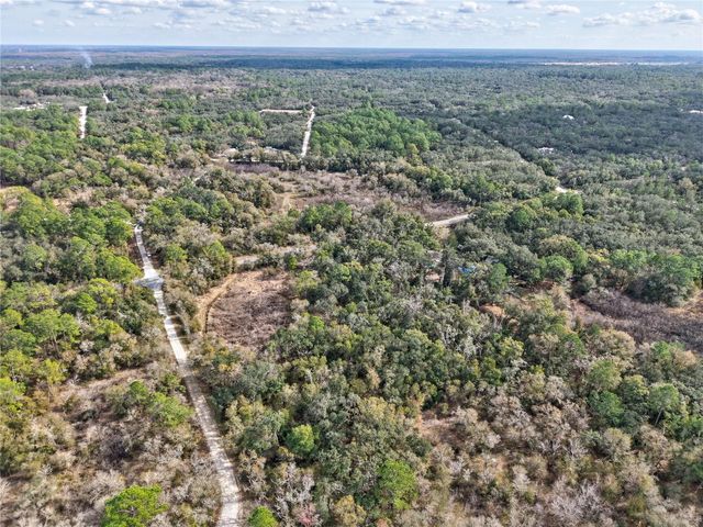Lot 1 CHIPSTONE STREET, Webster, FL 33597