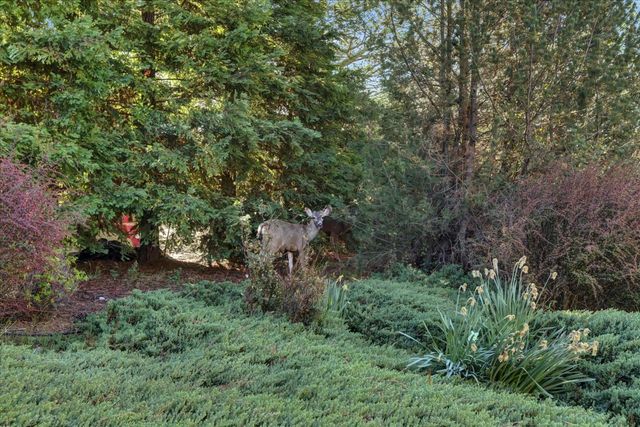 18250 Lake Forest Dr, Penn Valley, CA 95946