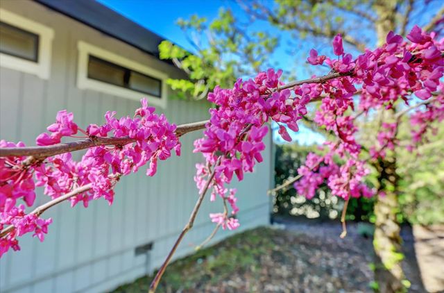 18250 Lake Forest Dr, Penn Valley, CA 95946