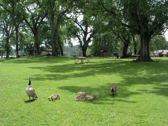 18250 Lake Forest Dr, Penn Valley, CA 95946