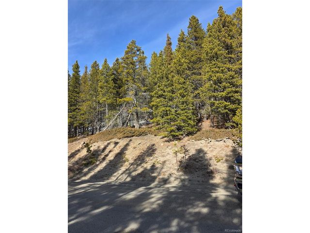 680 Alice Rd, Idaho Springs, CO 80453