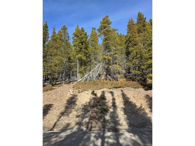 680 Alice Rd, Idaho Springs, CO 80453