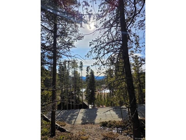 680 Alice Rd, Idaho Springs, CO 80453
