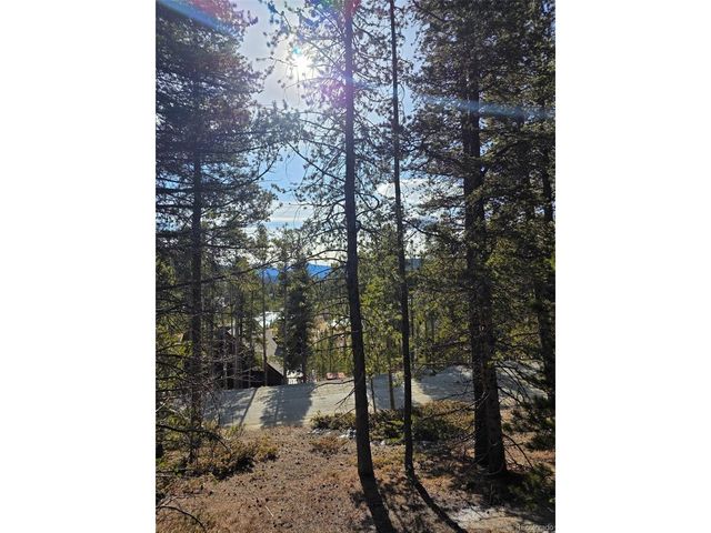 680 Alice Rd, Idaho Springs, CO 80453