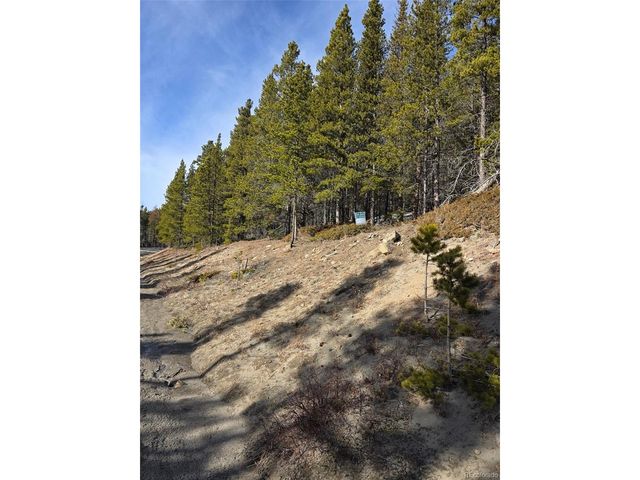 680 Alice Rd, Idaho Springs, CO 80453