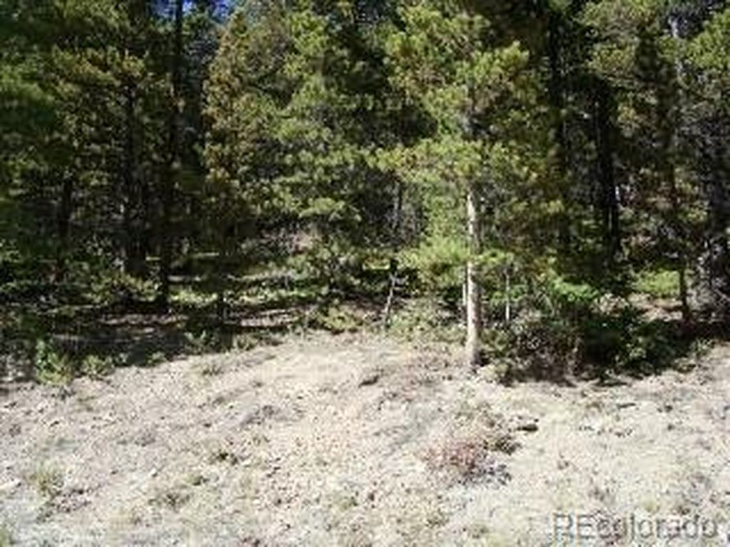 680 Alice Rd, Idaho Springs, CO 80453