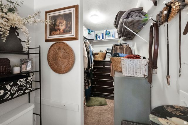 1351 W GLENBARR DR, Springville, UT 84663