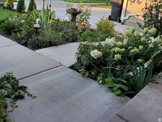 1351 W GLENBARR DR, Springville, UT 84663