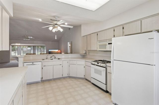 26245 NEWCOMBE CIRCLE, Leesburg, FL 34748