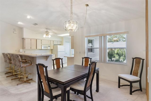 26245 NEWCOMBE CIRCLE, Leesburg, FL 34748