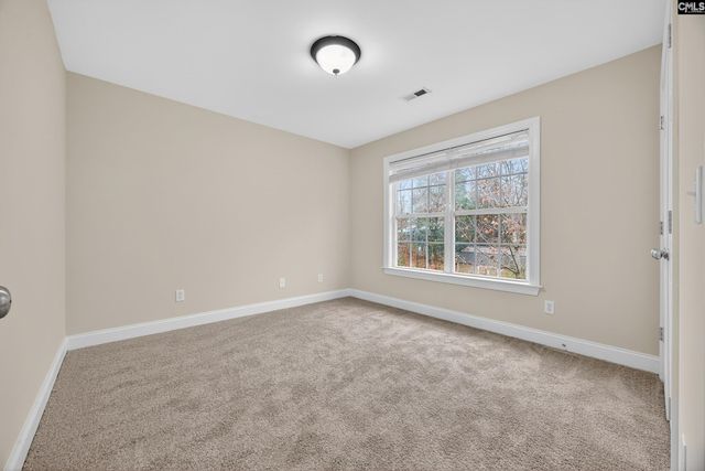 151 Harrison Hill Court, Gilbert, SC 29054