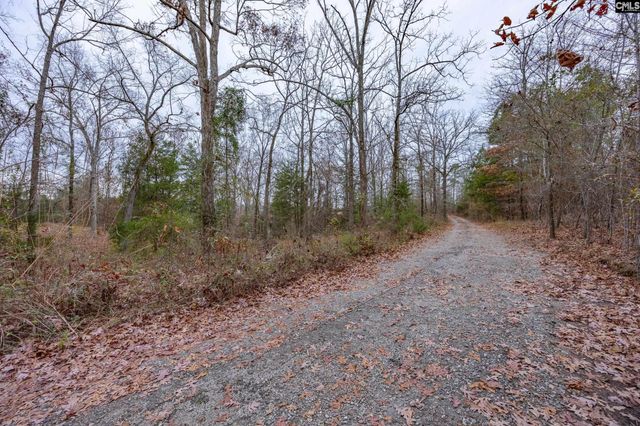 151 Harrison Hill Court, Gilbert, SC 29054