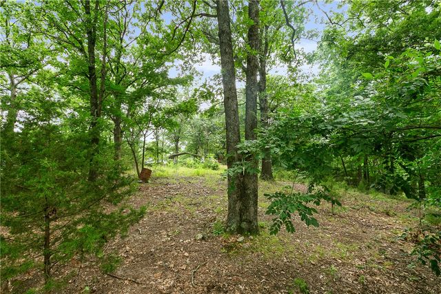 13101 Summit Drive Loop Loop, Garfield, AR 72732