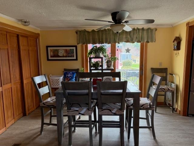 68 Daffodil Hill Lane, Rochester, NH 03868