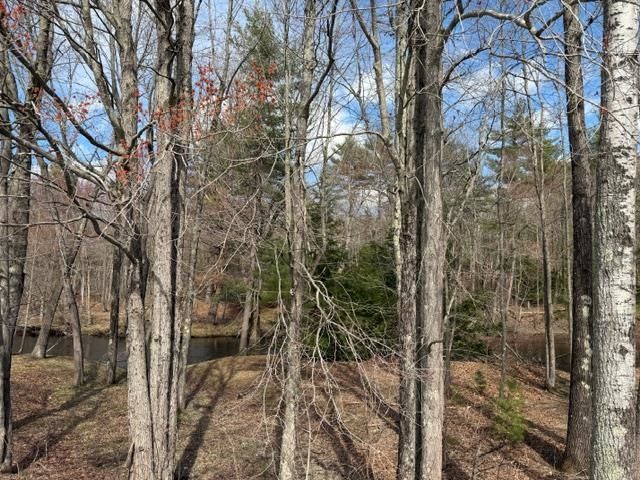 68 Daffodil Hill Lane, Rochester, NH 03868