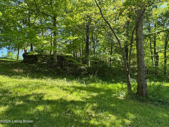 199 Lickskillet Dr, Shepherdsville, KY 40165