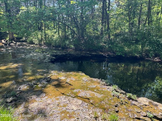 199 Lickskillet Dr, Shepherdsville, KY 40165