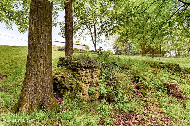 199 Lickskillet Dr, Shepherdsville, KY 40165