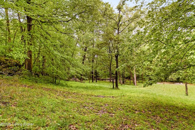 199 Lickskillet Dr, Shepherdsville, KY 40165