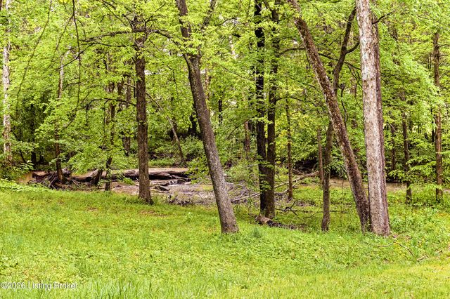 199 Lickskillet Dr, Shepherdsville, KY 40165