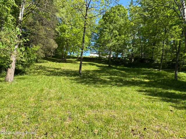 199 Lickskillet Dr, Shepherdsville, KY 40165