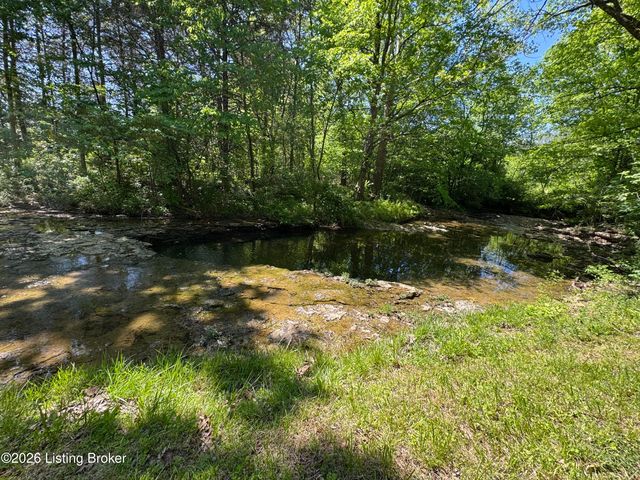 199 Lickskillet Dr, Shepherdsville, KY 40165