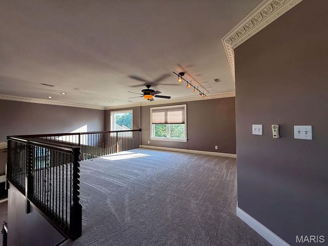 107 Morgan Lake Road, De Soto, MO 63020