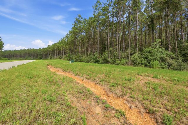 16030 Forest Mill Road, Willis, TX 77378
