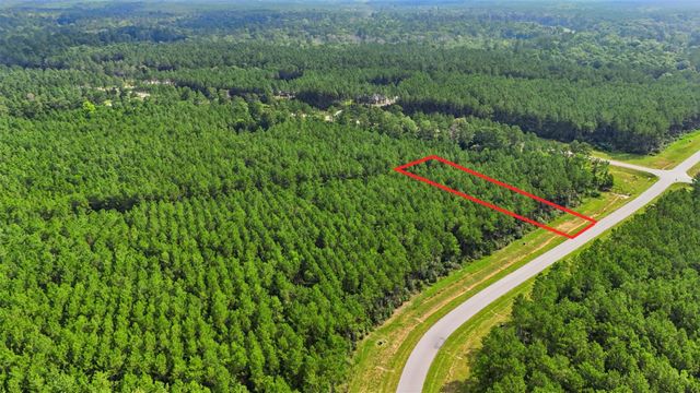 16030 Forest Mill Road, Willis, TX 77378