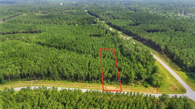 16030 Forest Mill Road, Willis, TX 77378
