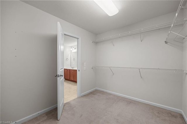 311 Trimble Drive, Elon, NC 27244