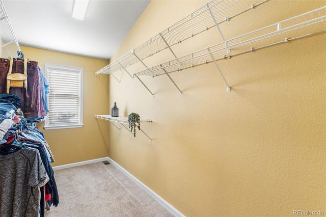 16382 Maple Rock Court, Parker, CO 80134