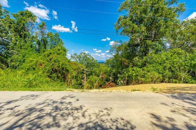 0 Clearview Drive Lot 2, Ringgold, GA 30736