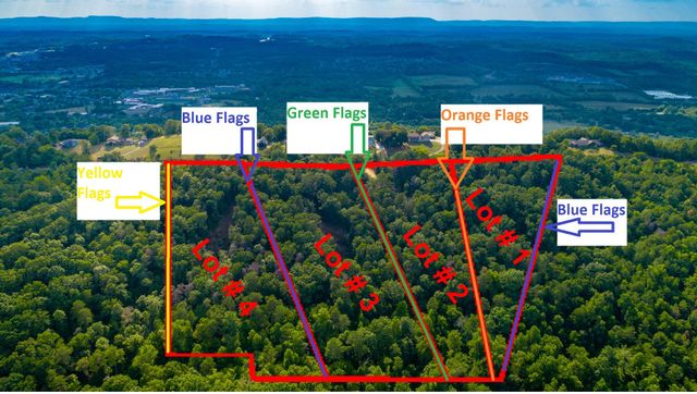 0 Clearview Drive Lot 2, Ringgold, GA 30736