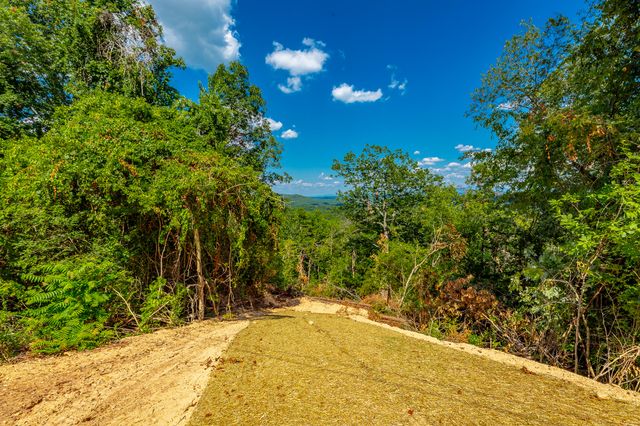 0 Clearview Drive Lot 2, Ringgold, GA 30736