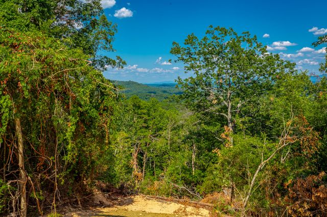 0 Clearview Drive Lot 2, Ringgold, GA 30736