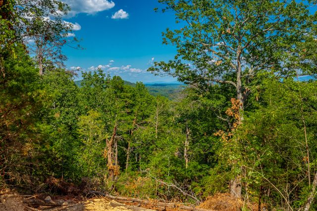 0 Clearview Drive Lot 2, Ringgold, GA 30736