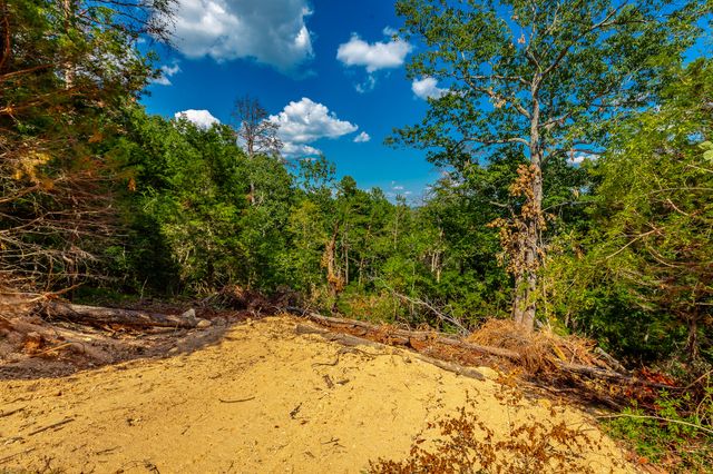 0 Clearview Drive Lot 2, Ringgold, GA 30736