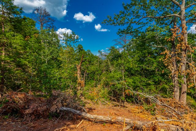 0 Clearview Drive Lot 2, Ringgold, GA 30736