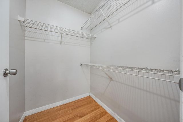 10024 STRAFFORD OAK COURT 802, Tampa, FL 33624