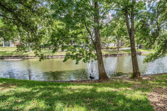 10024 STRAFFORD OAK COURT 802, Tampa, FL 33624