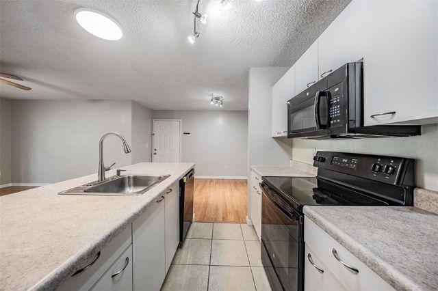 10024 STRAFFORD OAK COURT 802, Tampa, FL 33624