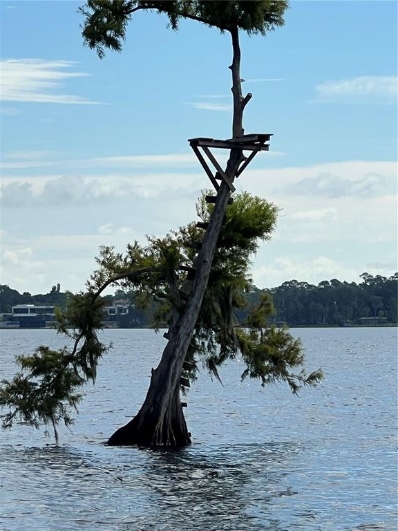 Image 74 of property listing at 9754 PINEOLA DRIVE, Orlando, FL 32836