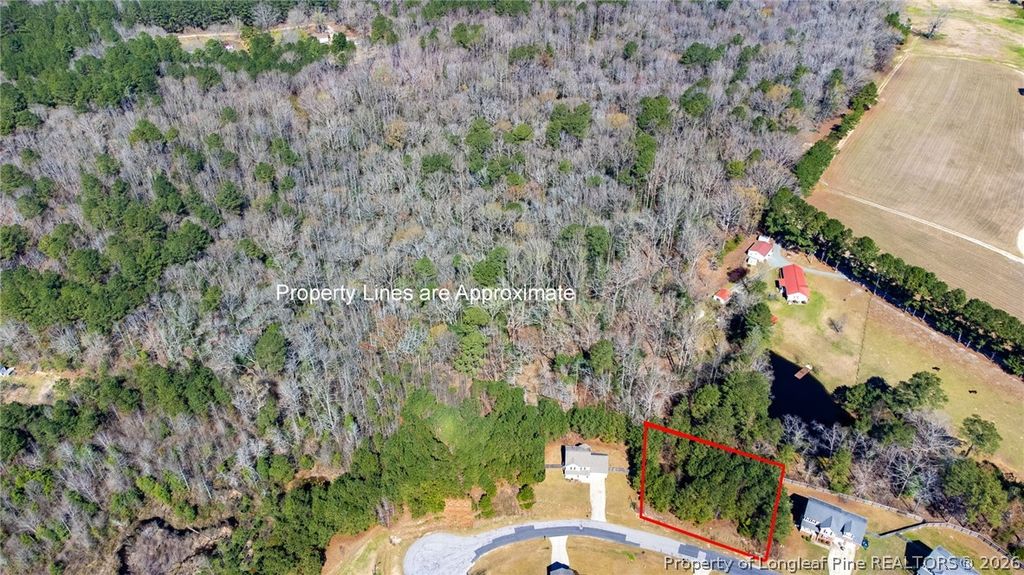 92 Carter Drive, Sanford, NC 27332 — photo 20