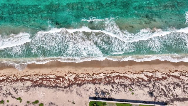 217 Plantation Road, Palm Beach, FL 33480