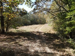 0 Copper Spring Road, Springville, TN 38256