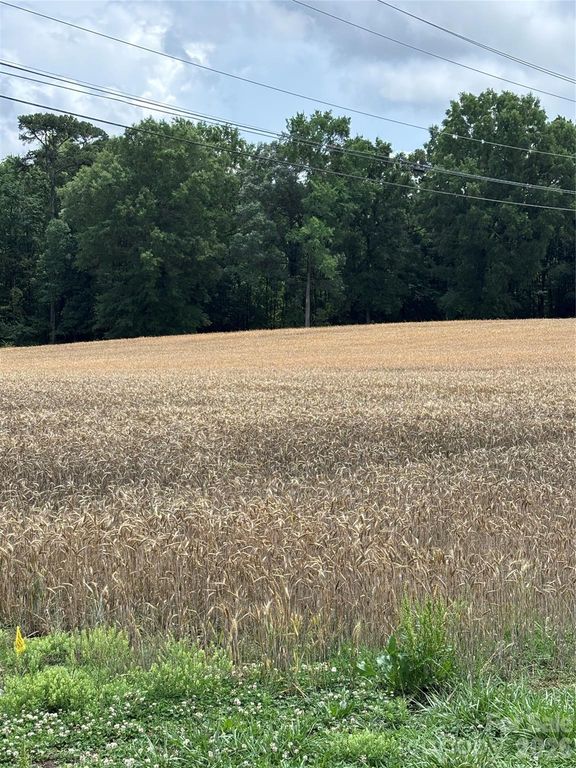 0 Olive Branch Road, Wingate, NC 28174