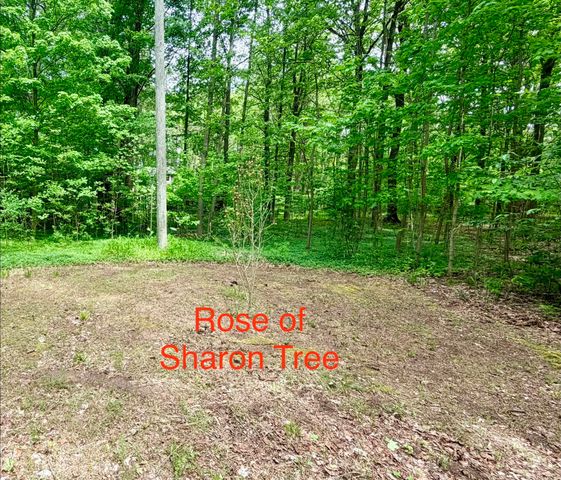 13953 Minnich Road, Chikaming Twp, MI 49125