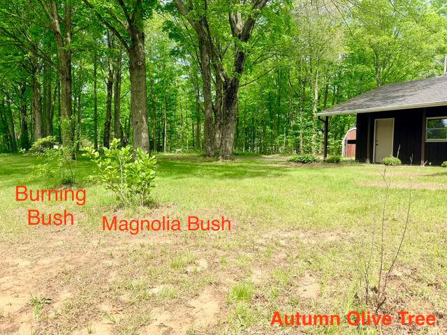 13953 Minnich Road, Chikaming Twp, MI 49125